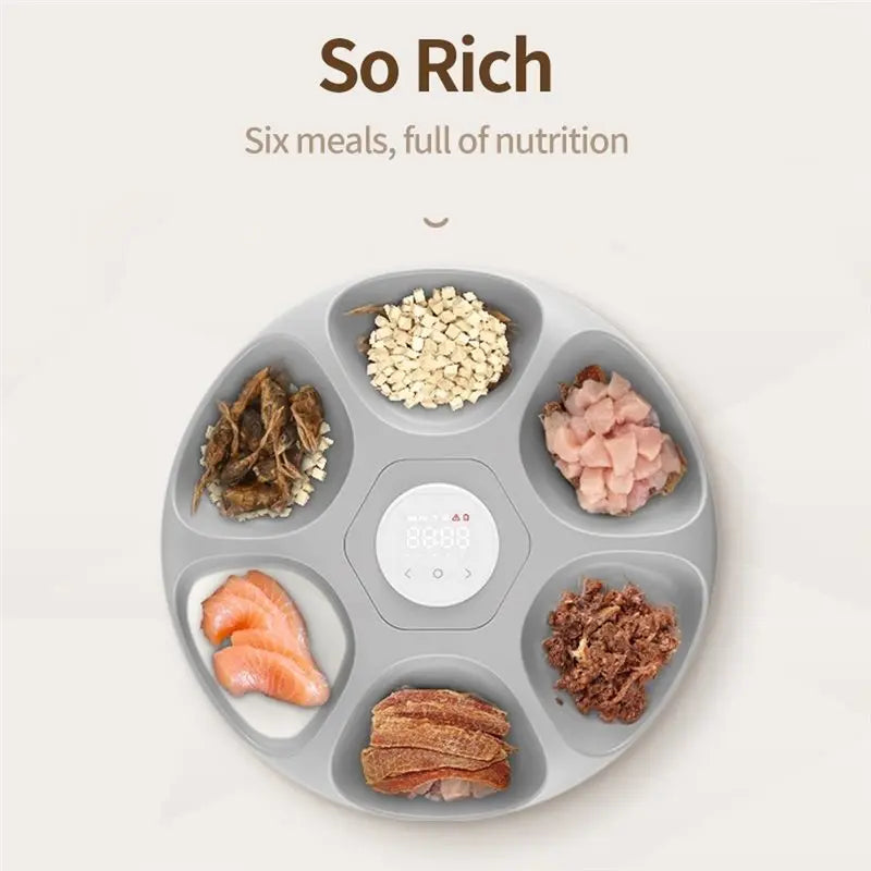 Automatic Pet Feeder – 6 Meals, Wet & Dry Food, Remote Control