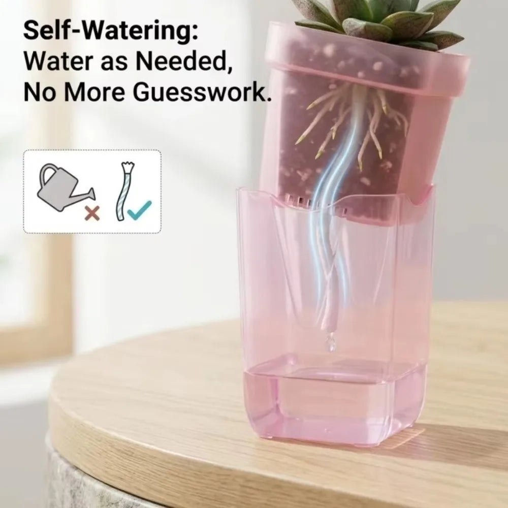 Self-Watering Transparent Nursery Planter – Double-Layer Pot