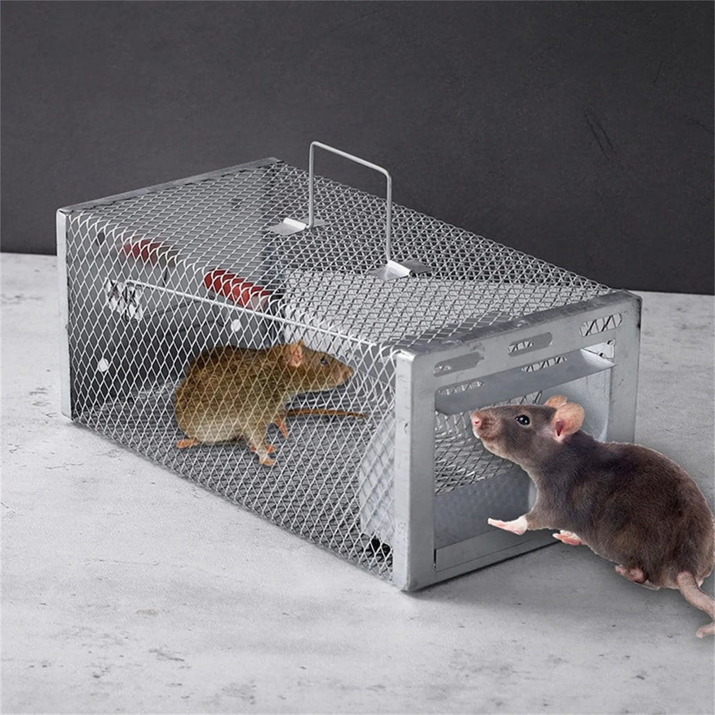 Humane Double Door Live Mouse Trap – Reusable Catch & Release Cage