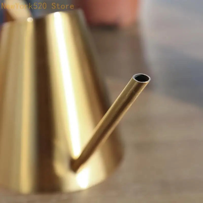 Stainless Steel Watering Can Long Spout – 400/900/1500ml