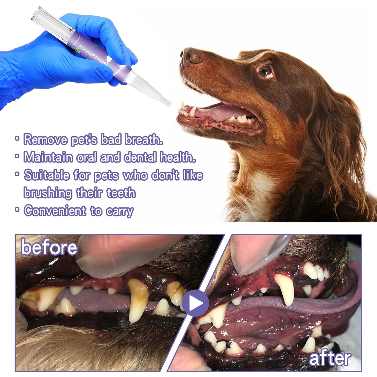 Pet Oral Care Gel – Teeth Whitening, Tartar & Fresh Breath