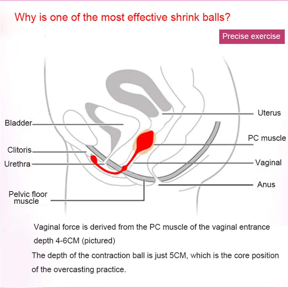 Silicone Pelvic Floor Trainer Ball – Postpartum Muscle Toning