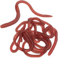 10-Pack Realistic Fake Earthworms – Stretchy Rubber Prank Props