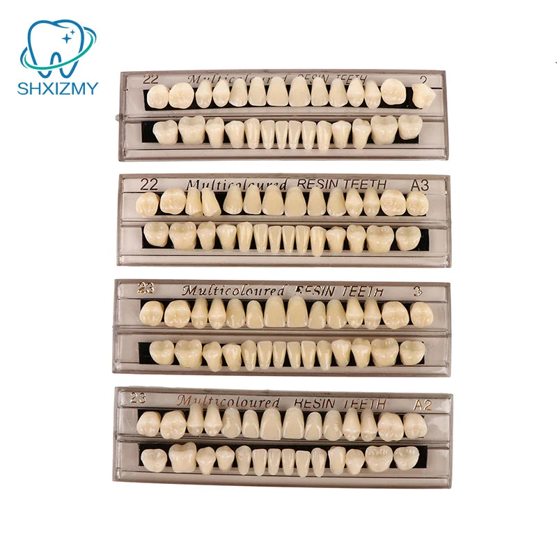 28-Pc Acrylic Resin Denture Teeth Set & 3D Shade Guide