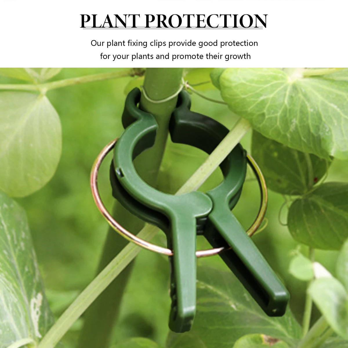 Plastic Garden Plant Support Clips 12-Pack – 2.5cm PP