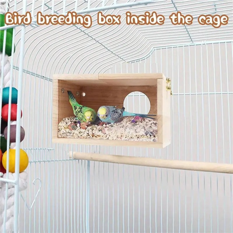 Transparent Wood Parakeet Nesting Box 2-Pack – Cage Bird House