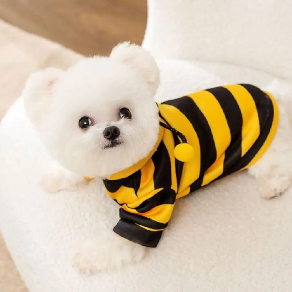 Pet Bee Costume Hoodie – Warm Stripes Cat & Dog Clothes