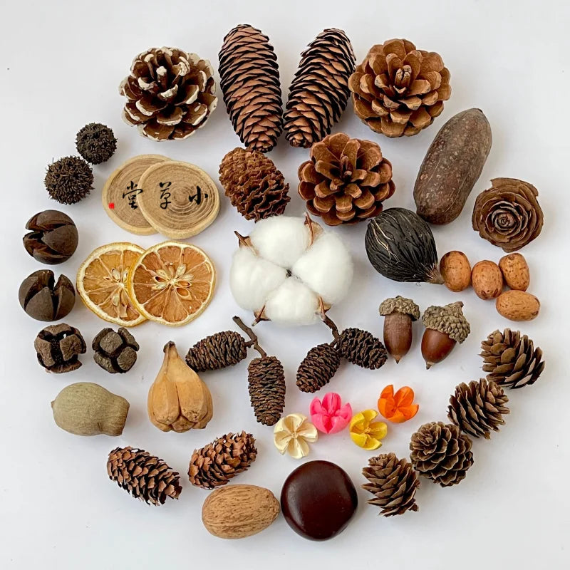 Dried Flowers, Fruits & Pine Cones DIY Natural Décor Kit