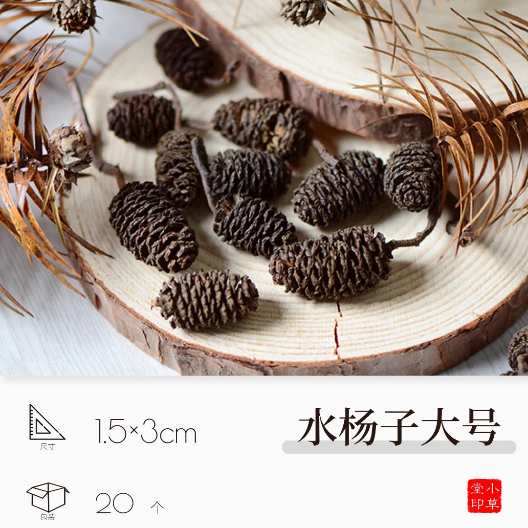 Dried Flowers, Fruits & Pine Cones DIY Natural Décor Kit
