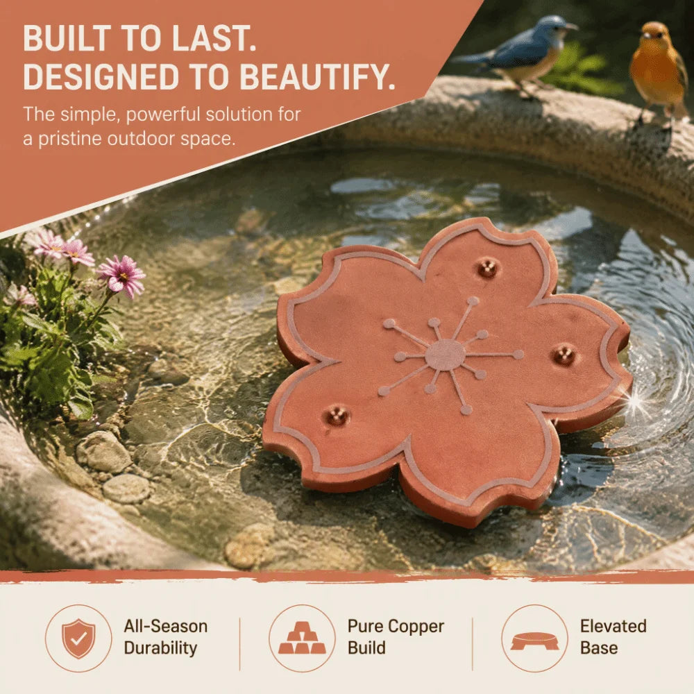 2-Pack Copper Bird Bath Disk – 0.6mm Triple-Point Support