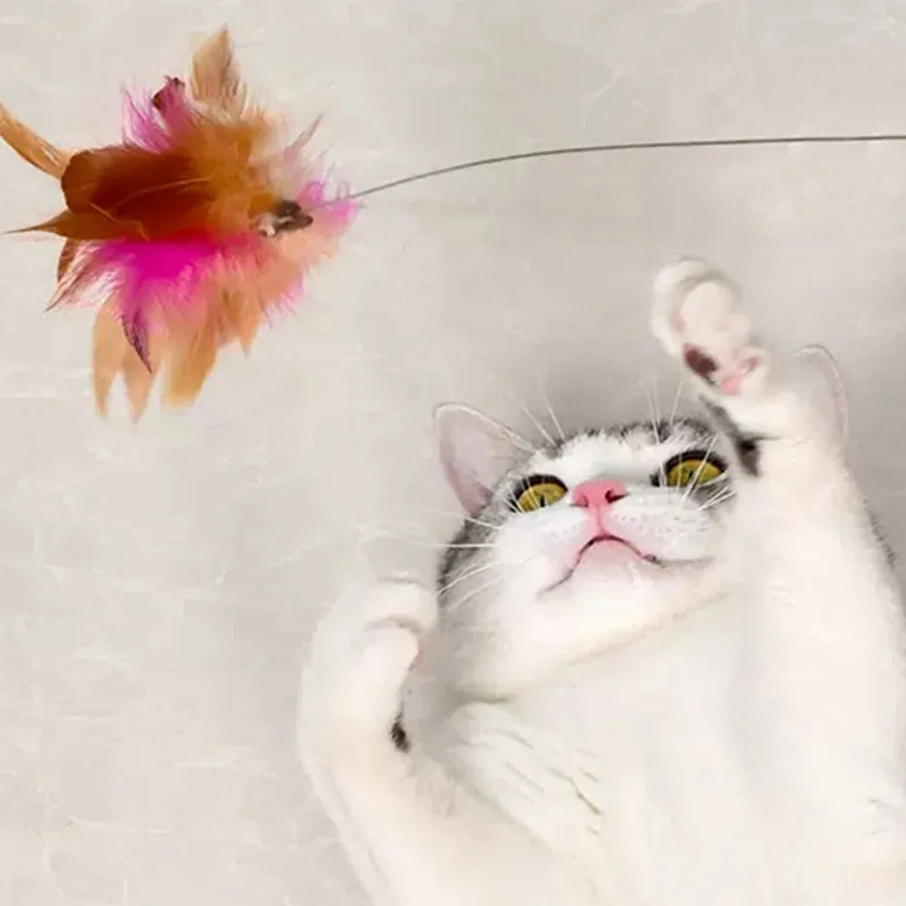 Adjustable Cat Feather Wand Collar with Bell | Interactive Toy