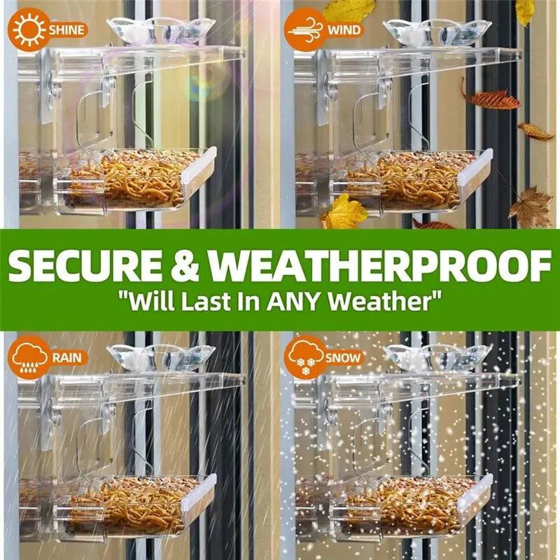 Clear Window Bird Feeder with Self-Adhesive Suction Hooks