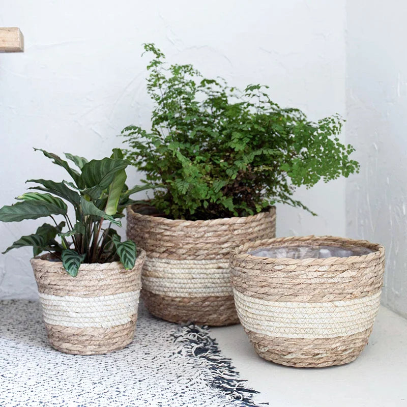 Seagrass Planter Basket – Hand Woven Plant Pot Cover Set
