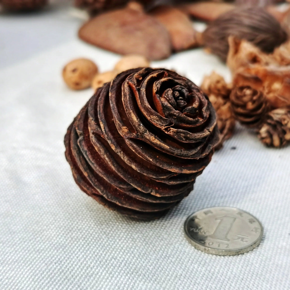 Dried Flowers, Fruits & Pine Cones DIY Natural Décor Kit