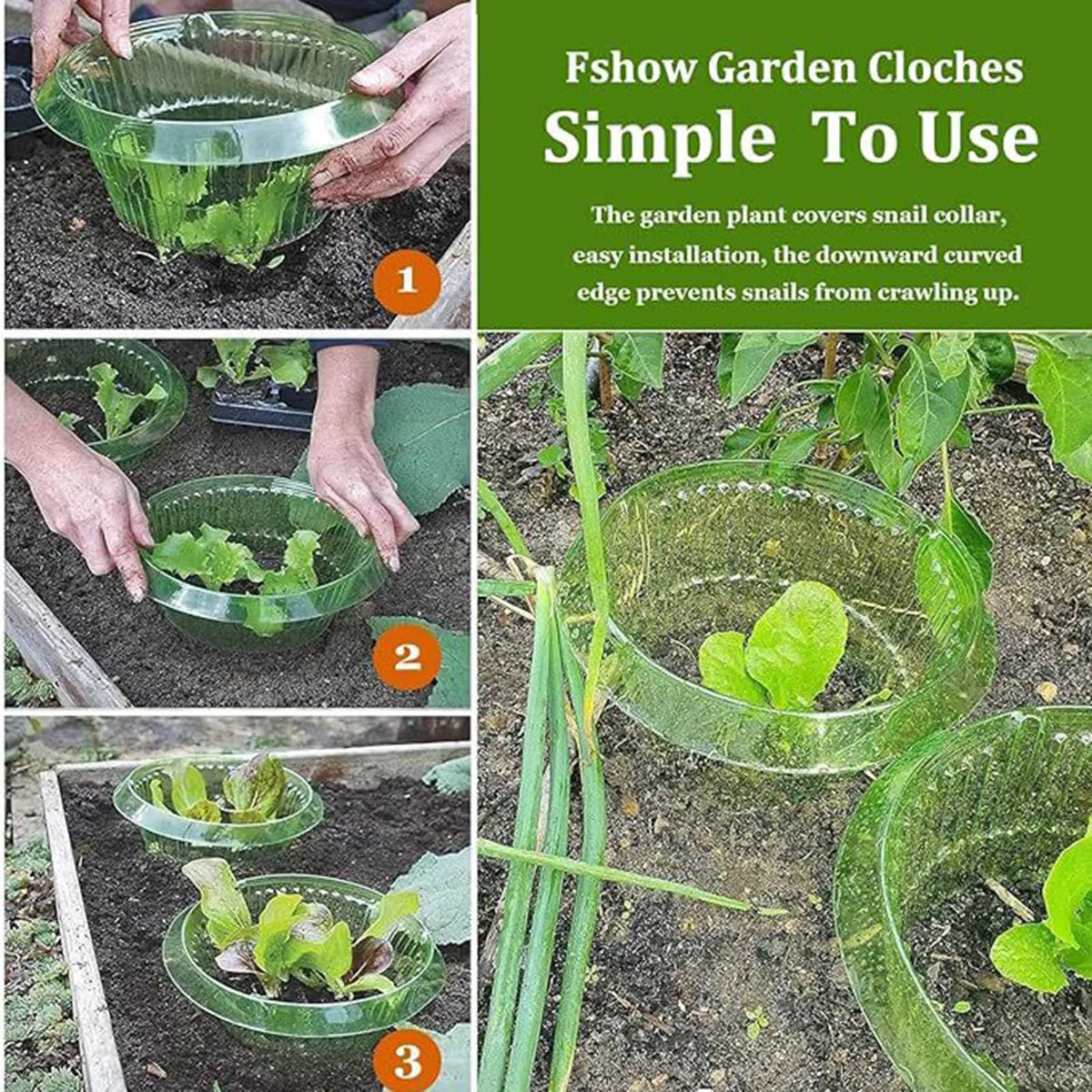 Reusable Garden Snail & Slug Collar Plant Protectors 1–20 Pack