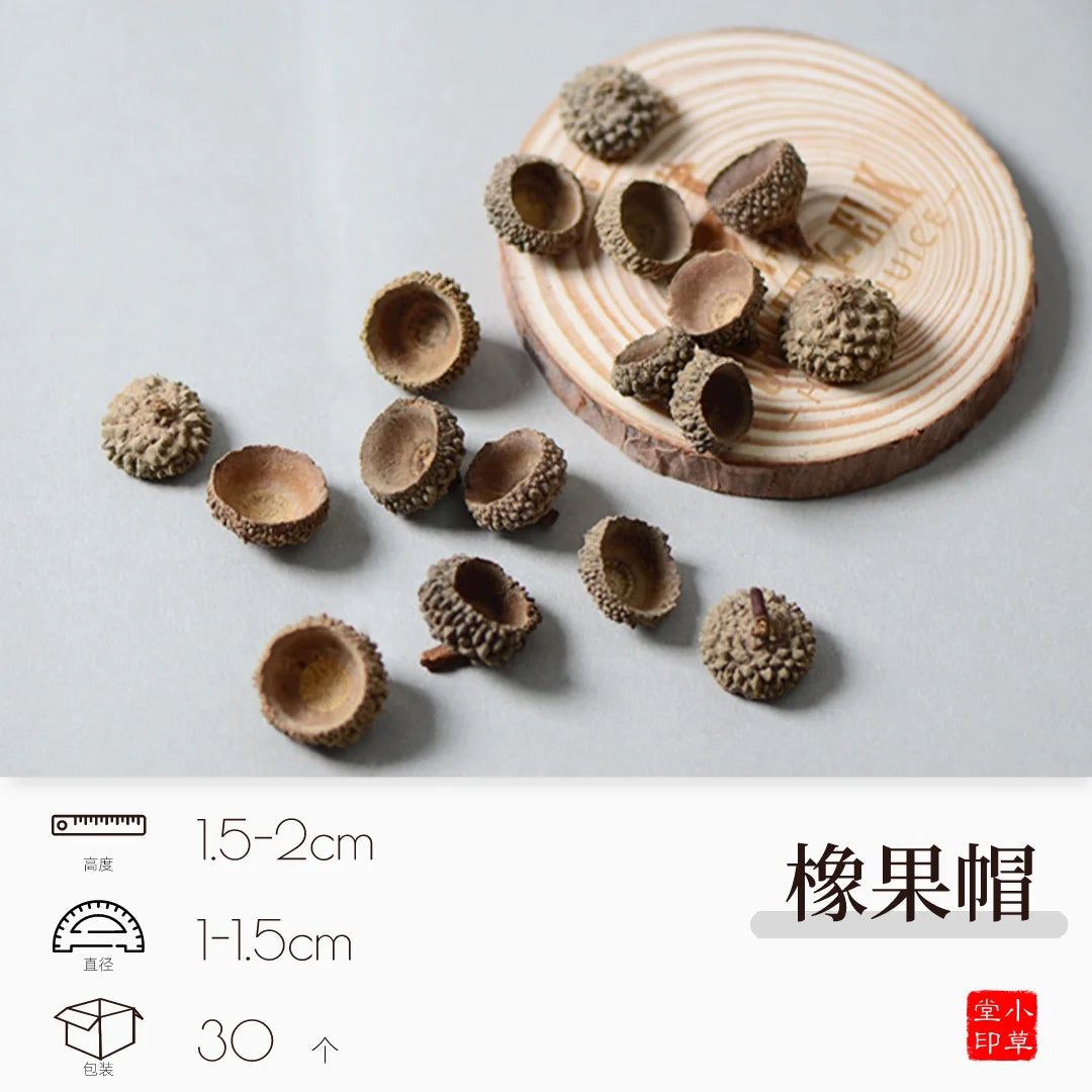 Dried Flowers, Fruits & Pine Cones DIY Natural Décor Kit