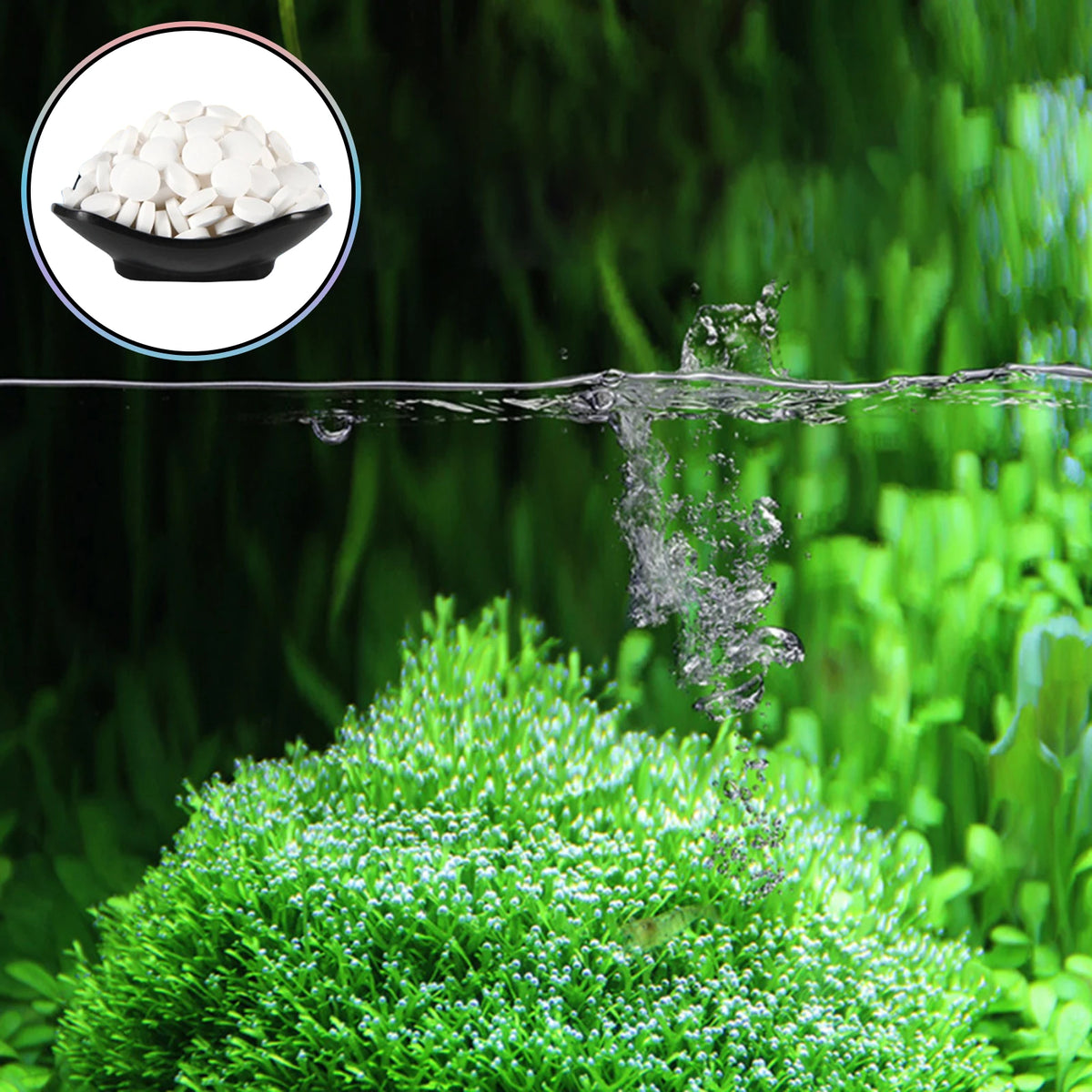 Algae Removal Tablets for Fish Tank – 150 Aquarium Cleaner Tabs