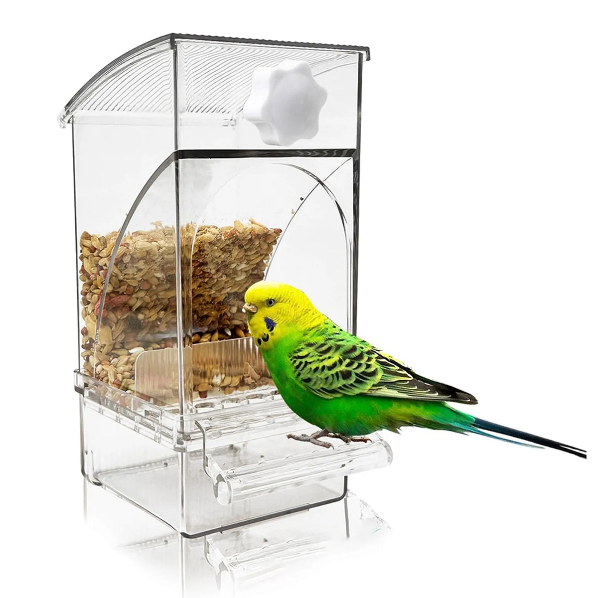 No-Mess Automatic Transparent Bird Feeder 2-Pack | Cage Accessory