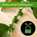 Self-Adhesive Plant Wall Clips – Punch-Free Vine Fixer Hooks