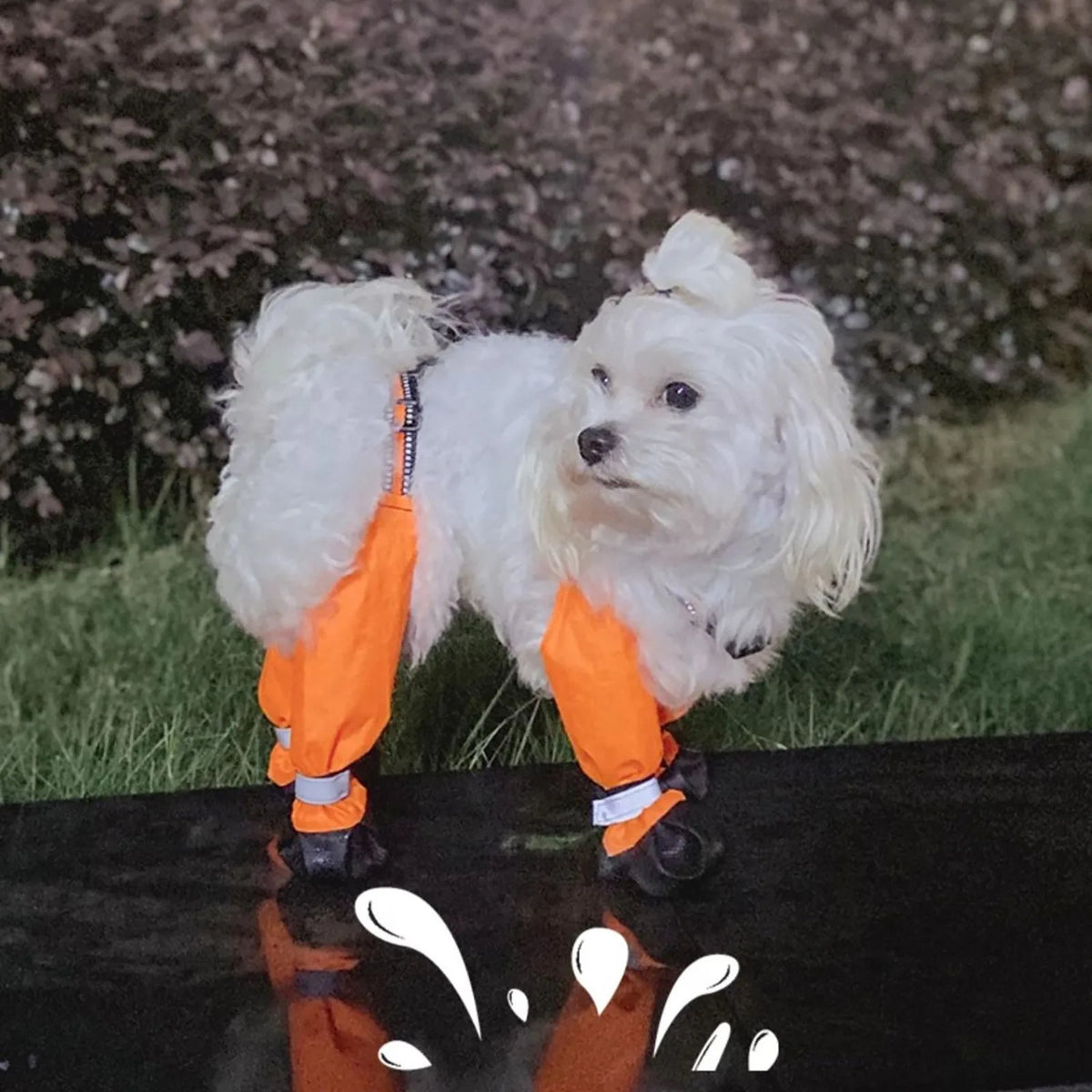 Waterproof Dog Boots with Suspenders | Anti-Slip Pet Shoes