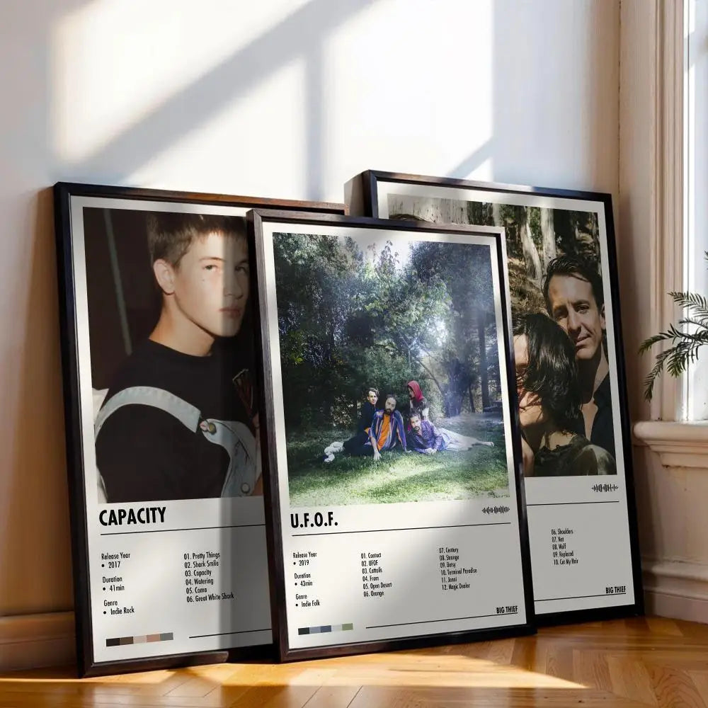 Big Thief Music Poster Canvas Print – Wall Art Home Decor