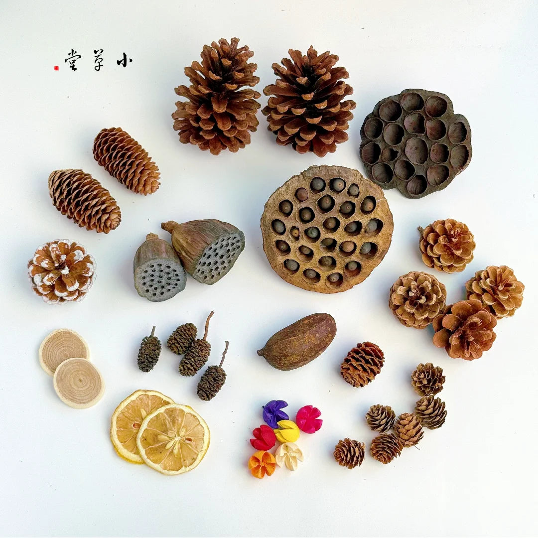 Dried Flowers, Fruits & Pine Cones DIY Natural Décor Kit