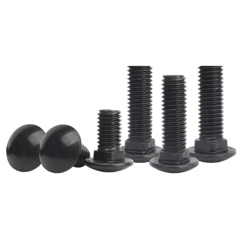 Black 304 Stainless Steel Carriage Bolts M5 M6 M8 – 20 Pack