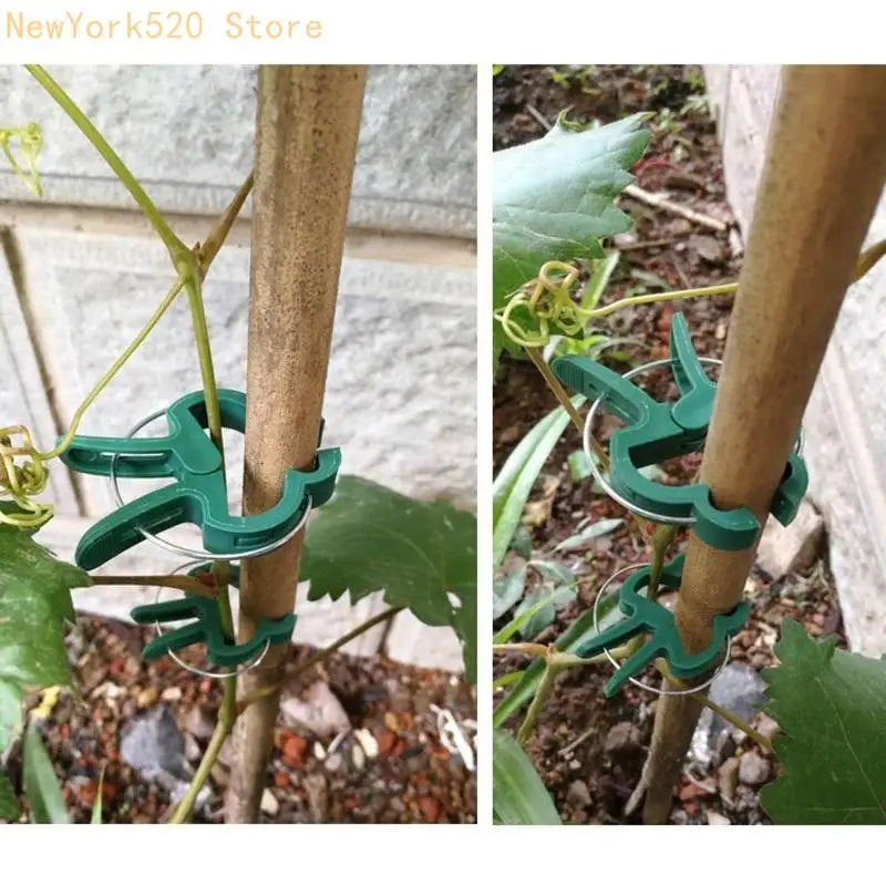 Plant Support Climbing Clips for Tomato & Vegetables – 20 Pack