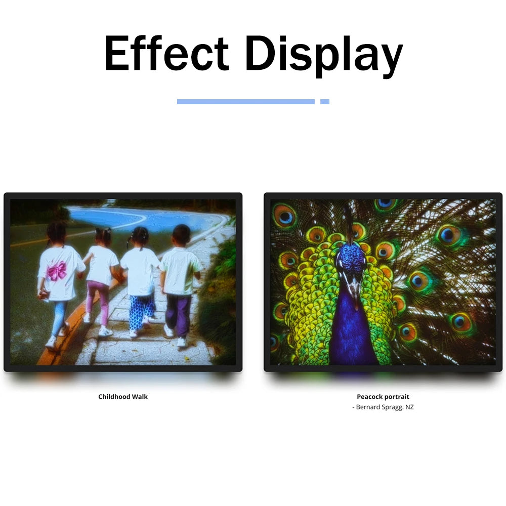 Bambu Lab CMYK LED Backlight Panel & Lithophane Bundle Kit