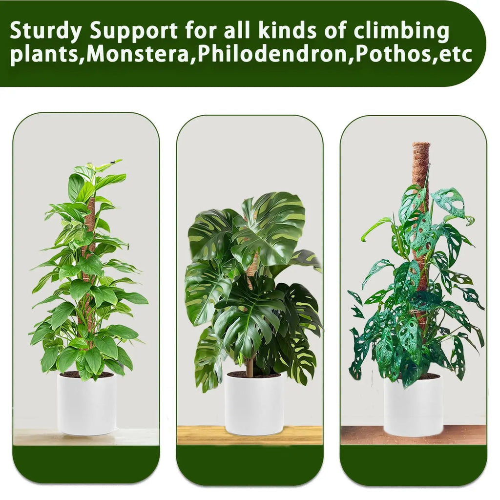 Stackable Coir Moss Poles for Monstera & Climbing Plants