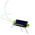 Solar Powered Grasshopper Toy – Kids Outdoor STEM Insect Model