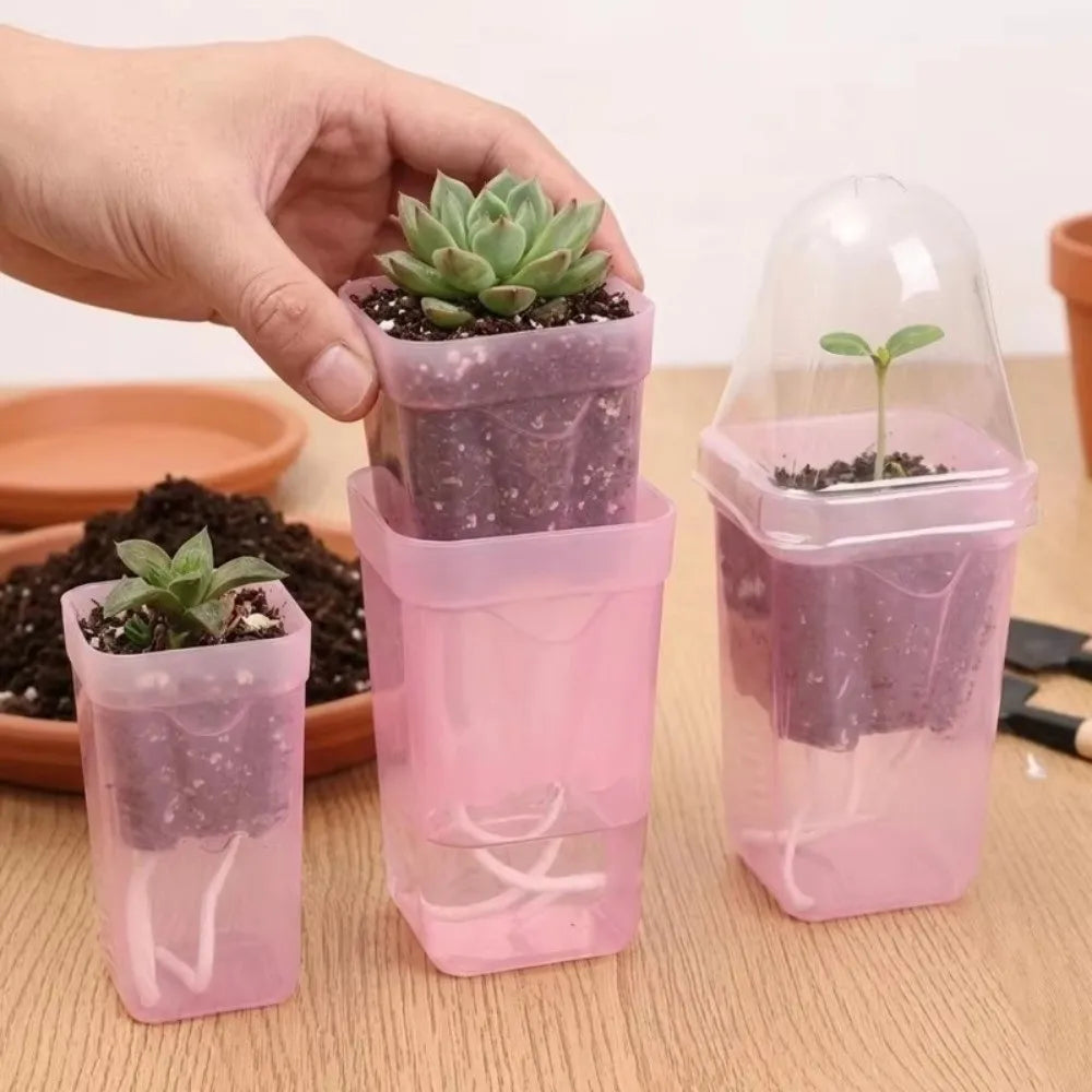 Self-Watering Transparent Nursery Planter – Double-Layer Pot