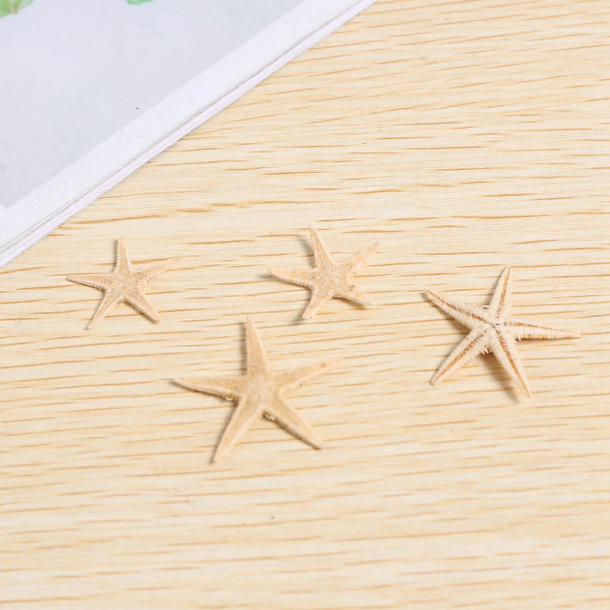450 Pcs Mini Natural Starfish Seashells for Beach Crafts