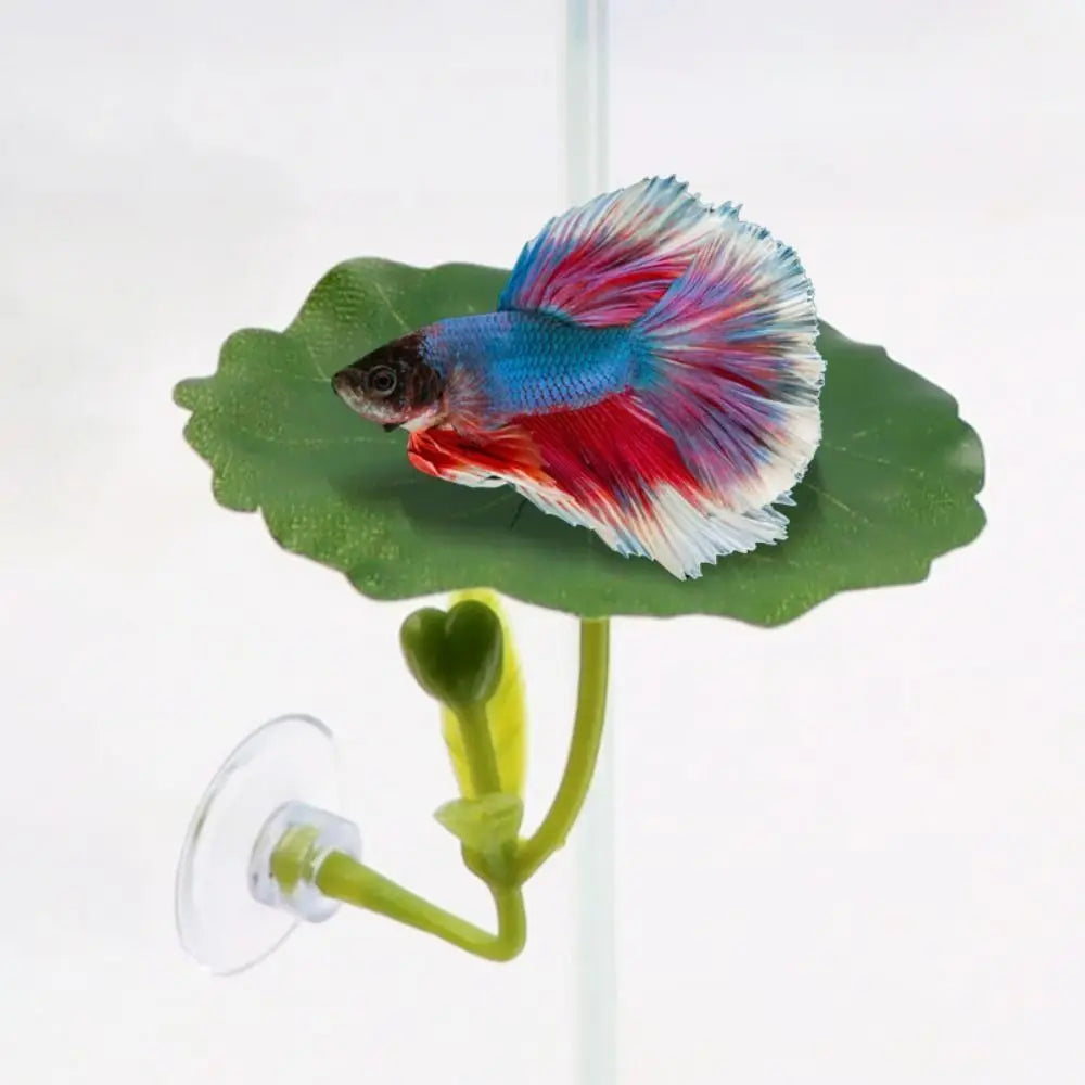 Betta Fish Rest Leaf with Suction Cup – Hiding & Spawning Ornament