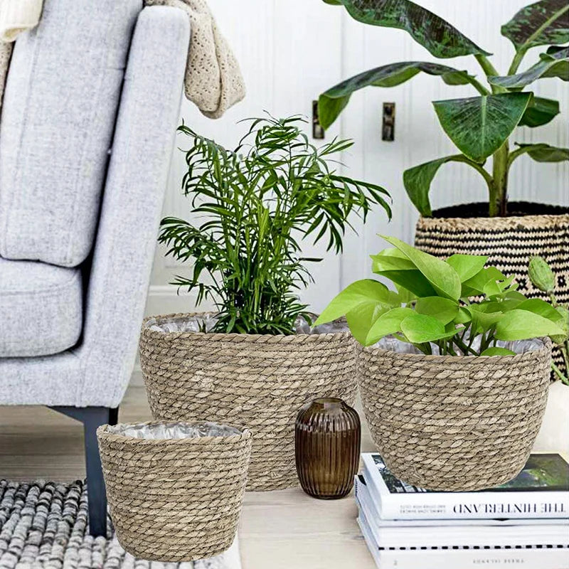 Seagrass Planter Basket – Hand Woven Plant Pot Cover Set