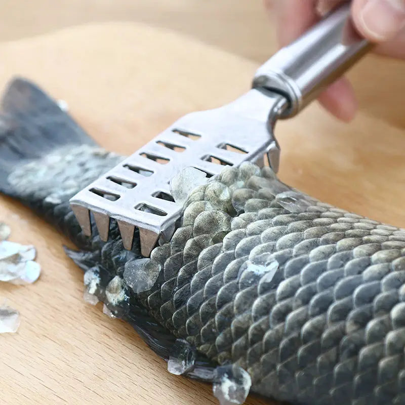 Stainless Steel Fish Scaler – Anti-Slip Handle & Hanging Hook