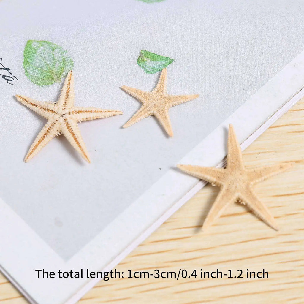 450 Pcs Natural Mini Starfish Seashells for Beach Crafts