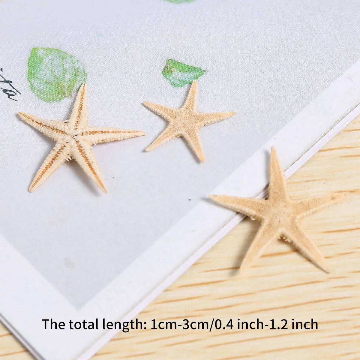450 Pcs Natural Mini Starfish Seashells for Beach Crafts