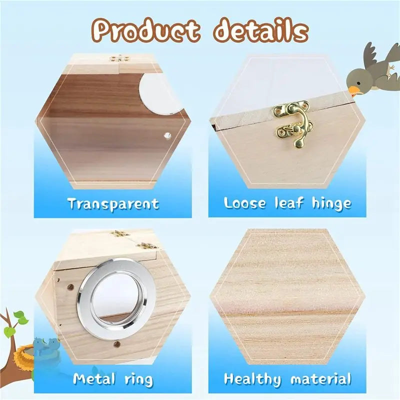 Transparent Wood Parakeet Nesting Box 2-Pack – Cage Breeding