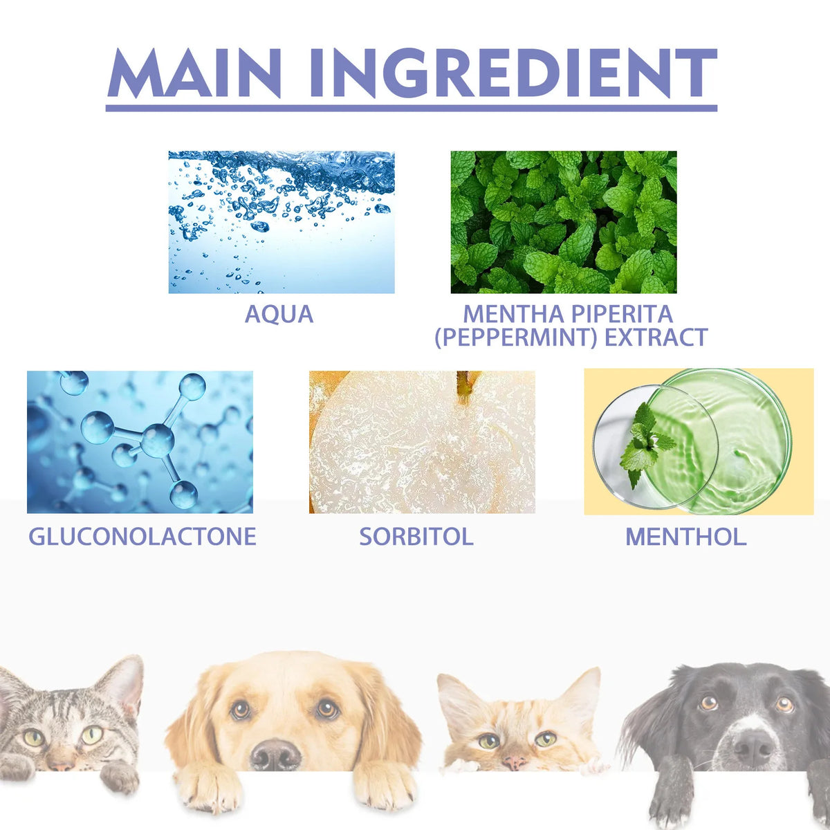 Pet Teeth Cleaning Spray – Fresh Breath & Plaque Remover 30ml