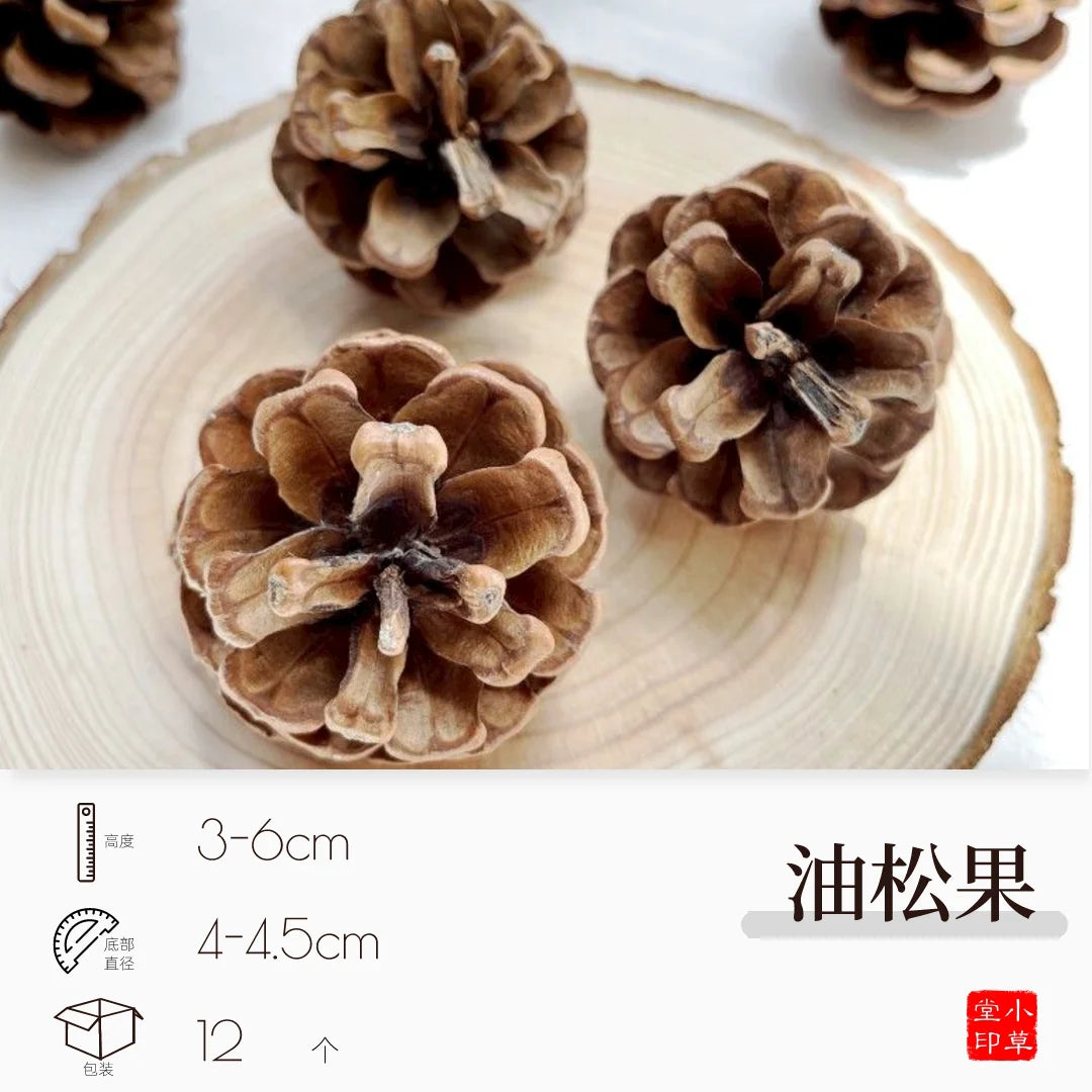 Dried Flowers, Fruits & Pine Cones DIY Natural Décor Kit