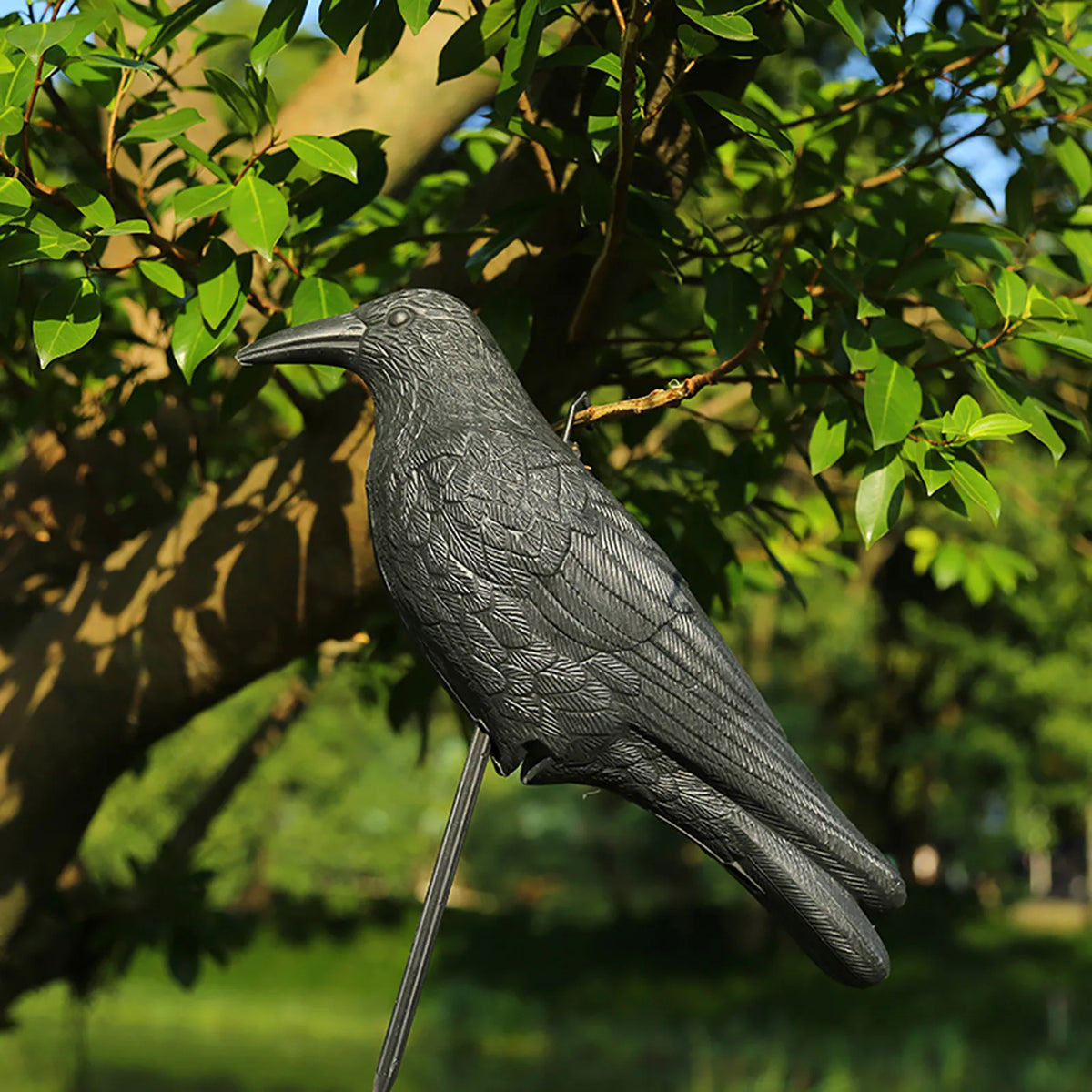 Simulation Black Crow Decoy – Garden Bird Deterrent