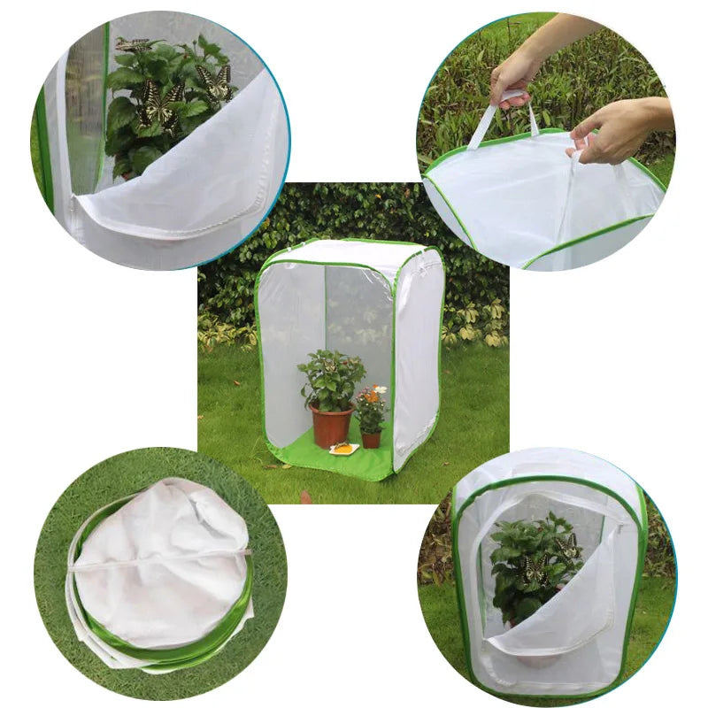 Foldable Insect Mesh Cage for Plants, Flowers & Butterflies