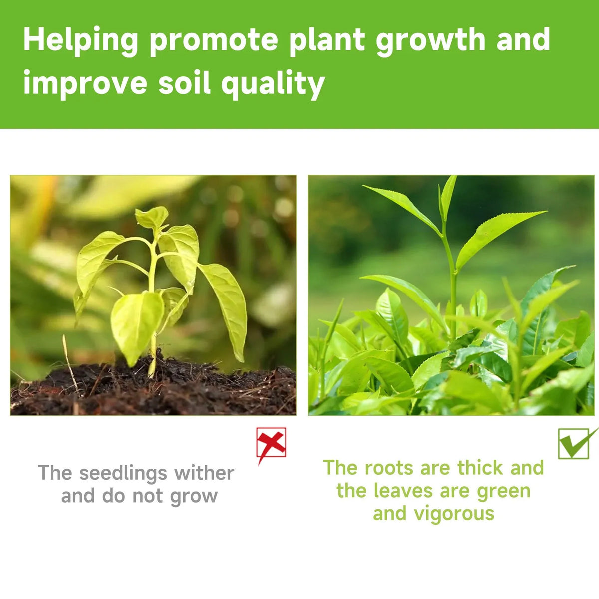 100ml Liquid Plant Nutrient Solution – Organic Fertilizer
