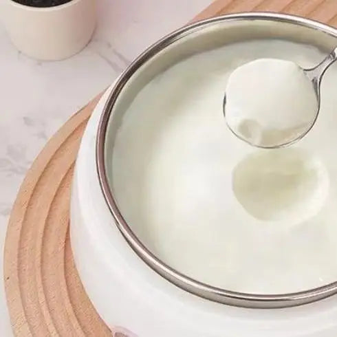 1L Electric Yogurt Maker – DIY Yogurt, Natto & Rice Wine