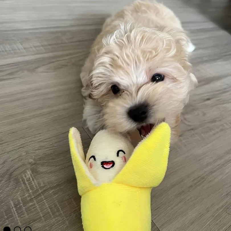 7-Piece Plush Squeaky Dog Toys – Fruit & Veggie Chew Set