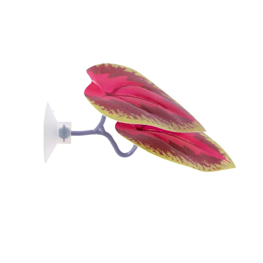 Betta Fish Rest Leaf with Suction Cup – Hiding & Spawning Ornament