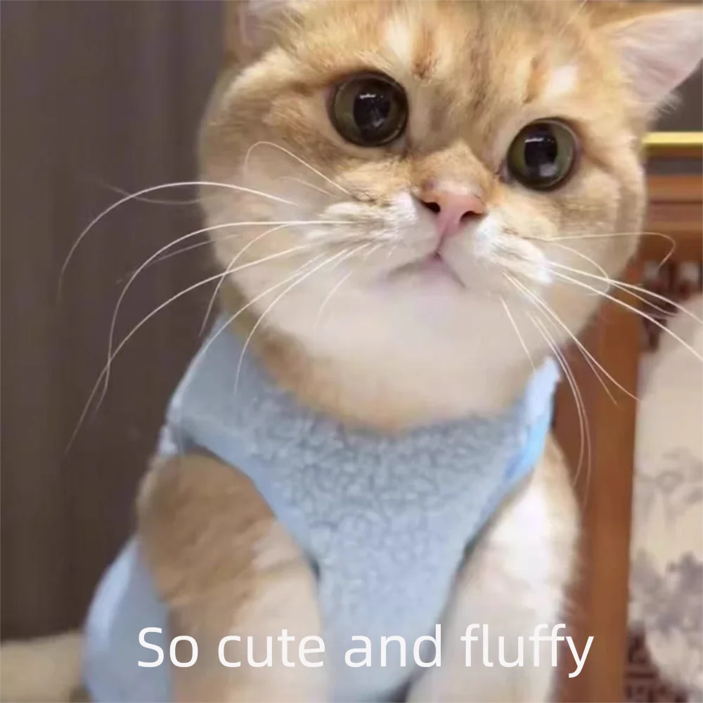 Cartoon Plush Pet Sweater Windproof Jacket for Cats & Dogs