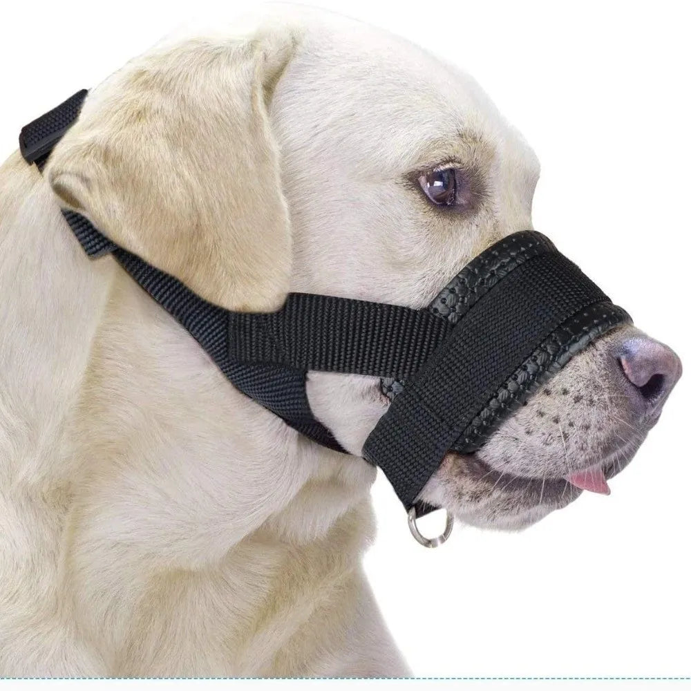 Soft Nylon Dog Muzzle M/L/XL – Adjustable with Leash Ring