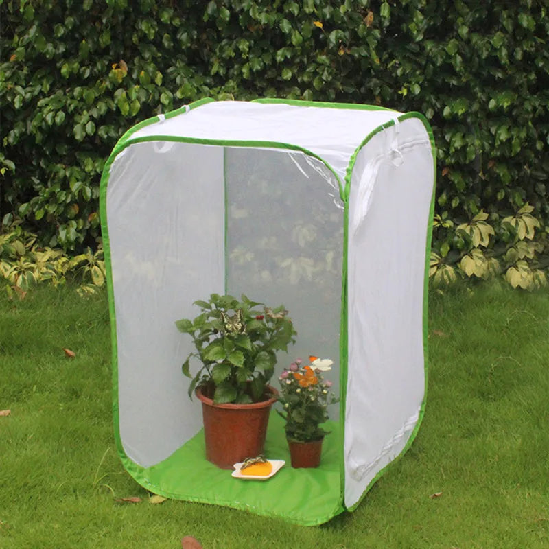 Foldable Insect Mesh Cage for Plants, Flowers & Butterflies